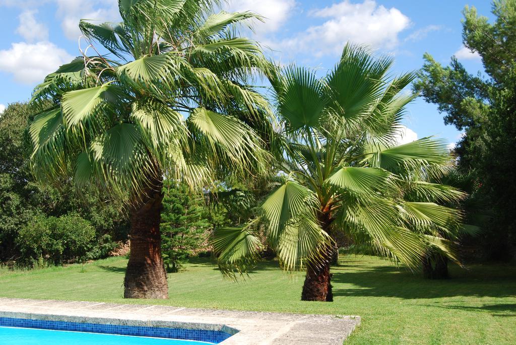 Finca Son Vivot Exterior photo